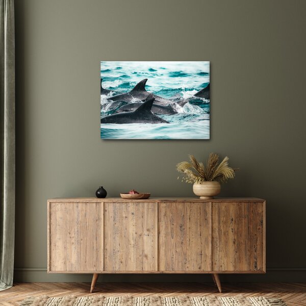 Obraz - Delfíni v oceáně (70x50 cm)