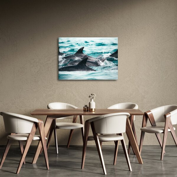Obraz - Delfíni v oceáně (70x50 cm)