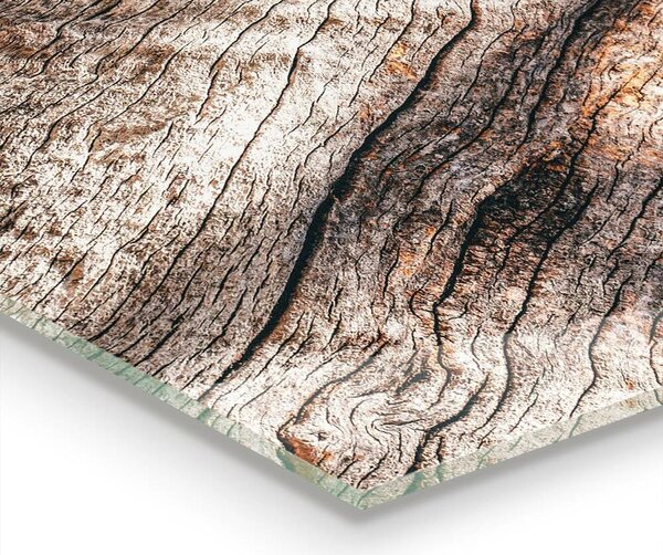 Kuchyňský skleněný panel Kmen stromové kůry textury