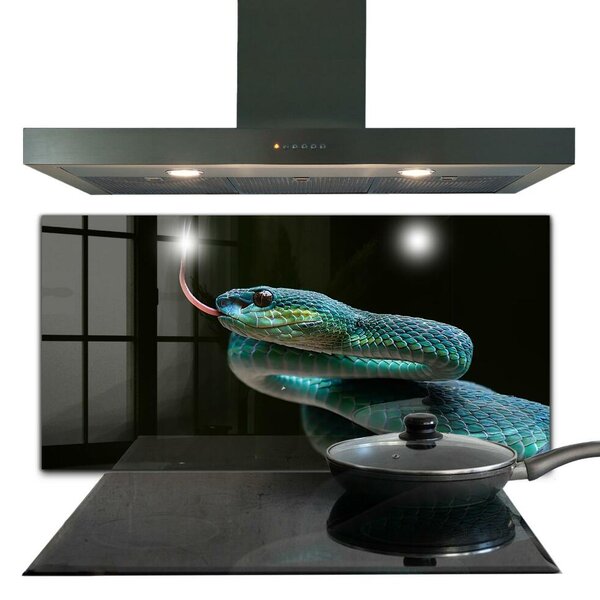Skleněný panel Snake wildlife