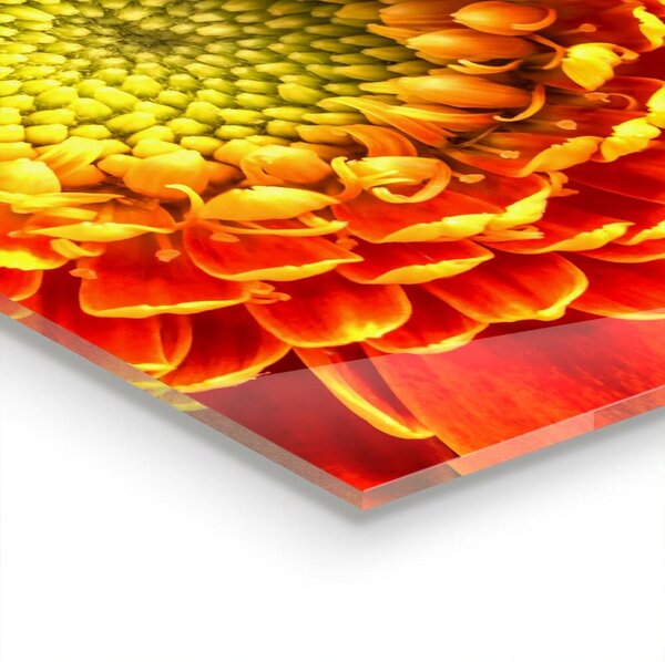 Skleněný panel Květ oranžová gerbera