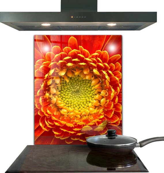 Skleněný panel Květ oranžová gerbera