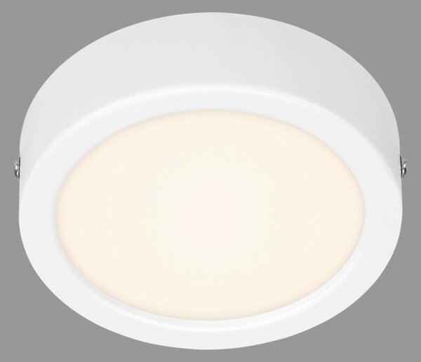 STROPNÍ LED SVÍTIDLO, 12,0/3,2 cm - Stropní svítidla