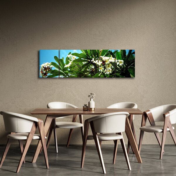 Obraz - Plumerie (170x50 cm)