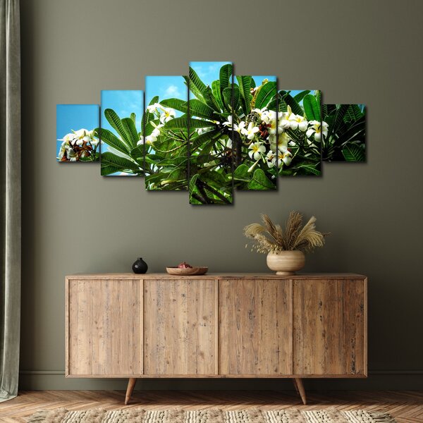Obraz - Plumerie (210x100 cm)