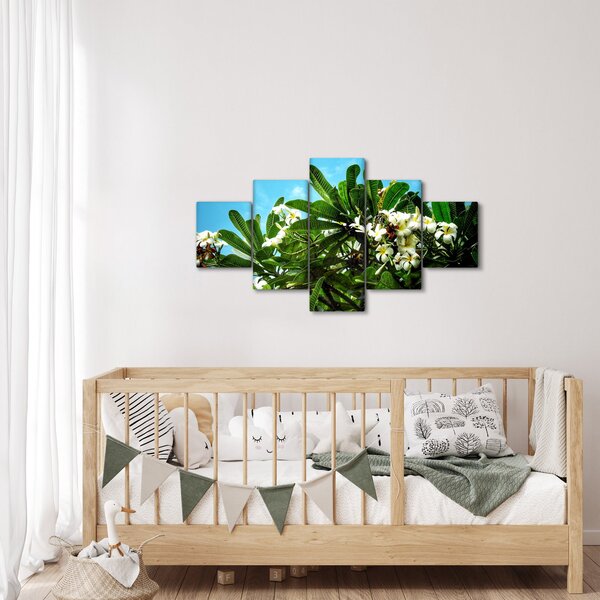 Obraz - Plumerie (125x70 cm)