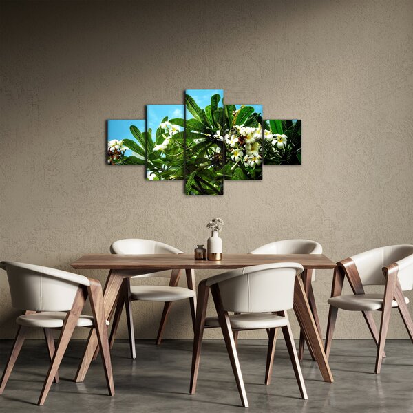Obraz - Plumerie (125x70 cm)