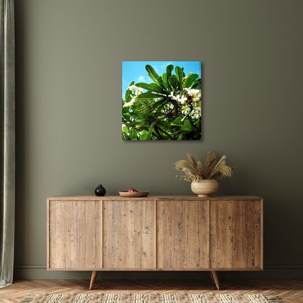 Obraz - Plumerie (30x30 cm)