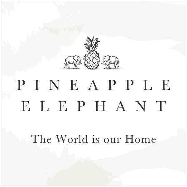 Dekorační polštář 55x55 cm Suri Geo – Pineapple Elephant