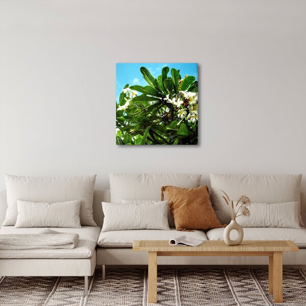 Obraz - Plumerie (30x30 cm)