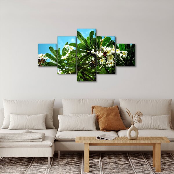 Obraz - Plumerie (125x70 cm)