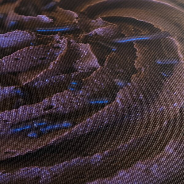 Obraz - Čokoládový cupcake (125x70 cm)