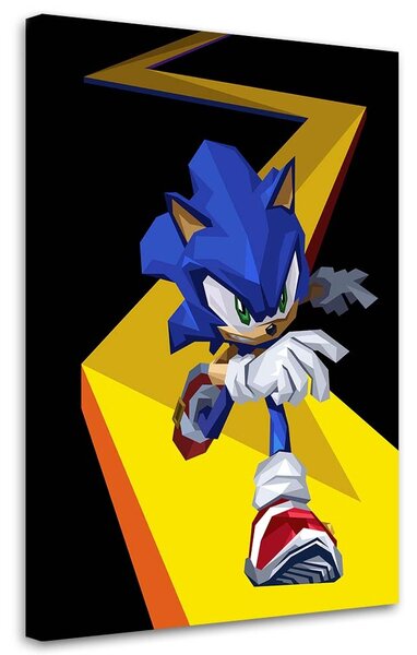 Obraz na plátně Sonic - Nikita Abakumov Rozměry: 40 x 60 cm