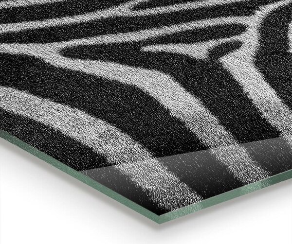 Kuchyňský skleněný panel Zebra skin african ext