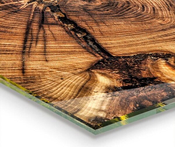 Kuchyňský skleněný panel Textura kufru