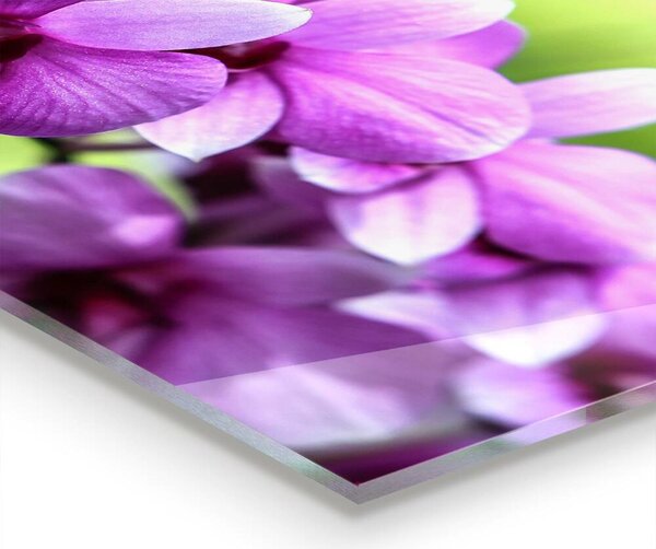Skleněné obklady do kuchyně Fialová orchidej