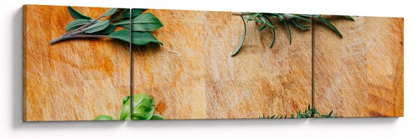 Obraz - Bylinky (170x50 cm)