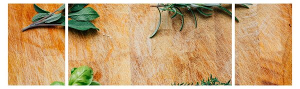 Obraz - Bylinky (170x50 cm)