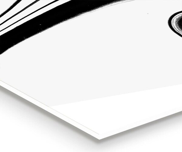 Skleněný panel Bílý mramor černé čáry