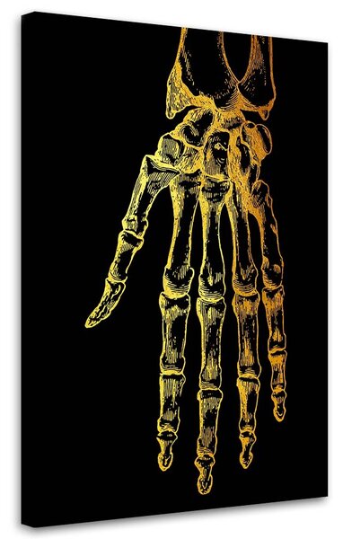Obraz na plátně Zlatá anatomie, ruka - Gab Fernando Rozměry: 40 x 60 cm