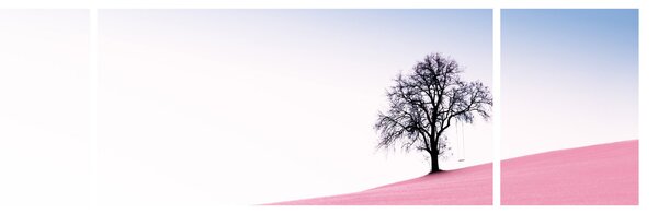 Obraz - Růžový sen (170x50 cm)