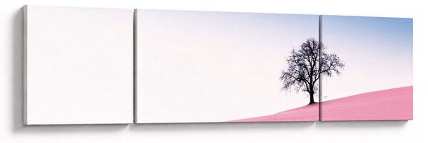 Obraz - Růžový sen (170x50 cm)