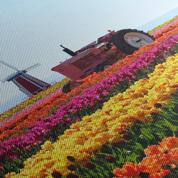 Obraz tulipánové farmy (s hodinami) (90x30 cm)