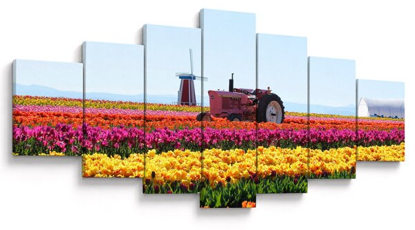 Obraz tulipánové farmy (210x100 cm)