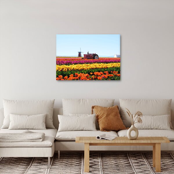 Obraz tulipánové farmy (70x50 cm)