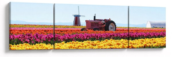 Obraz tulipánové farmy (170x50 cm)