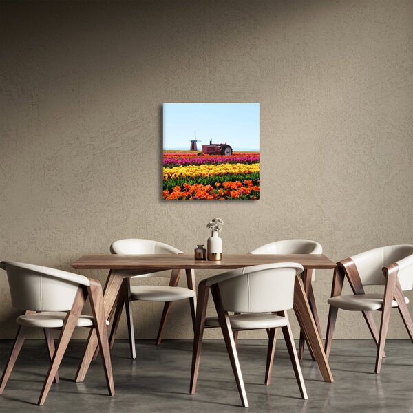 Obraz tulipánové farmy (30x30 cm)