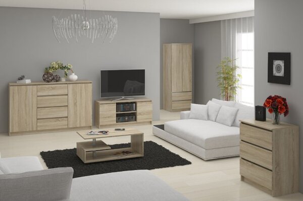 Stolek pod TV RTV 140 2D 1P sonoma