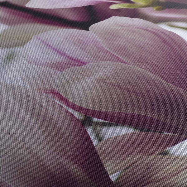 Obraz - Magnolie (170x50 cm)