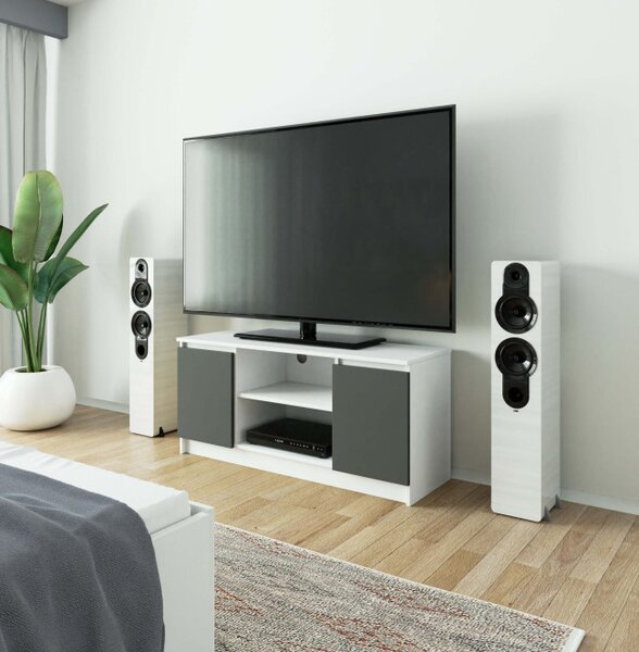 Stolek pod TV RTV 120 2D 1P bílý / šedý
