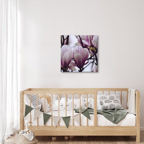 Obraz - Magnolie (30x30 cm)