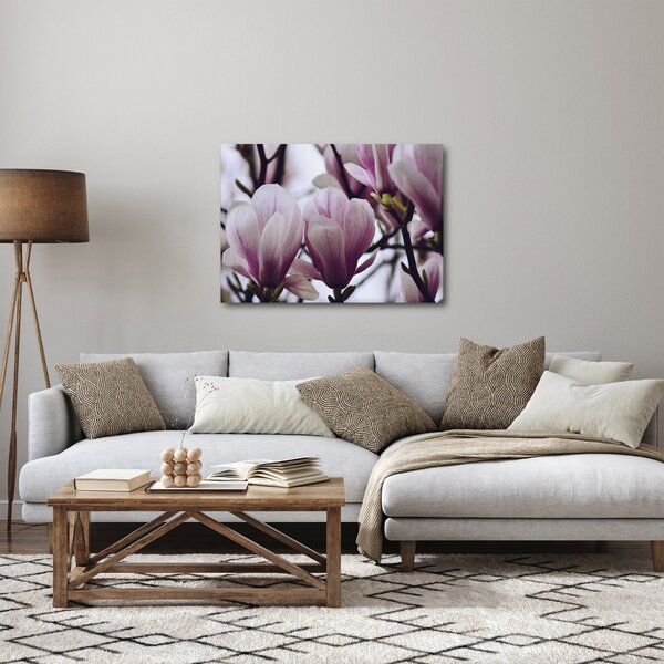 Obraz - Magnolie (70x50 cm)