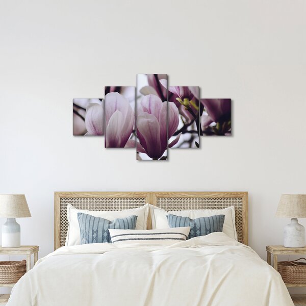Obraz - Magnolie (125x70 cm)