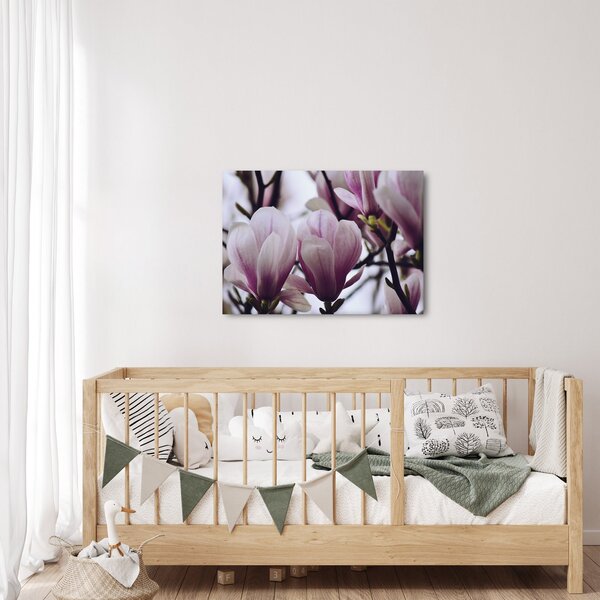 Obraz - Magnolie (70x50 cm)