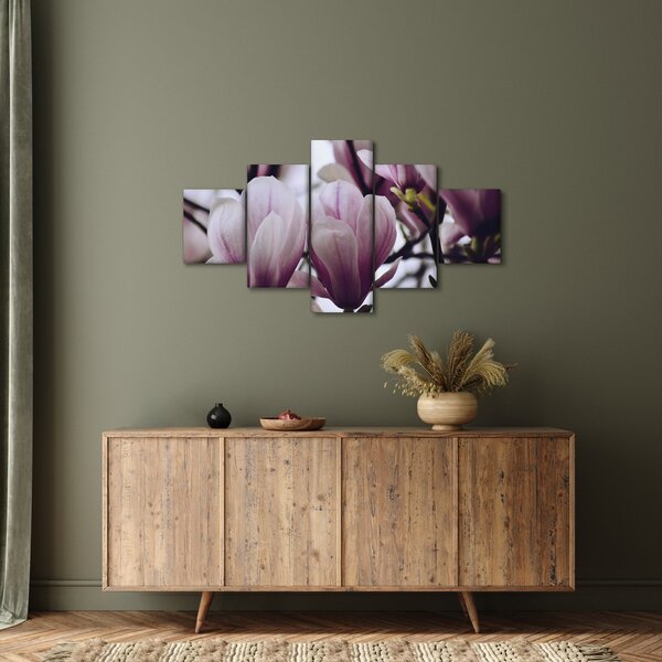 Obraz - Magnolie (125x70 cm)