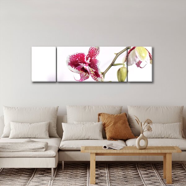 Obraz květu orchideje (170x50 cm)