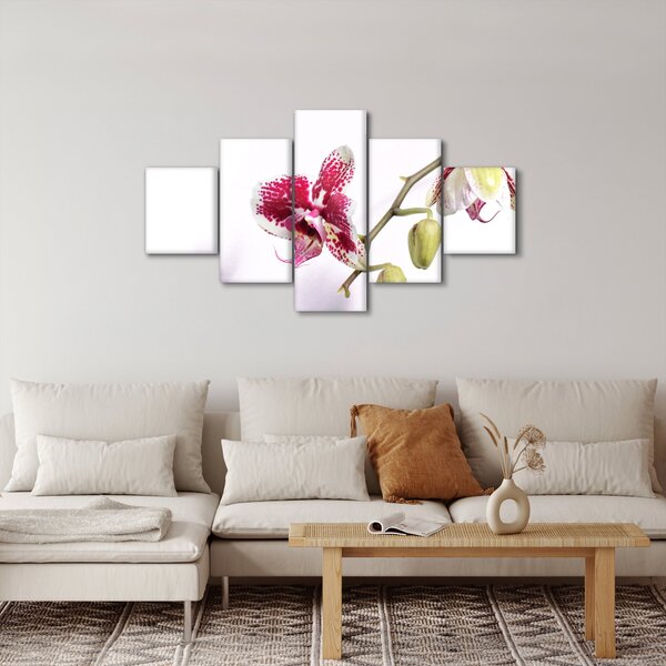 Obraz květu orchideje (125x70 cm)