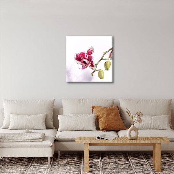 Obraz květu orchideje (30x30 cm)