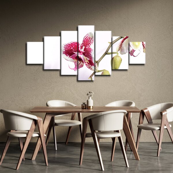 Obraz květu orchideje (210x100 cm)