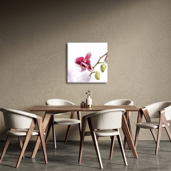 Obraz květu orchideje (30x30 cm)
