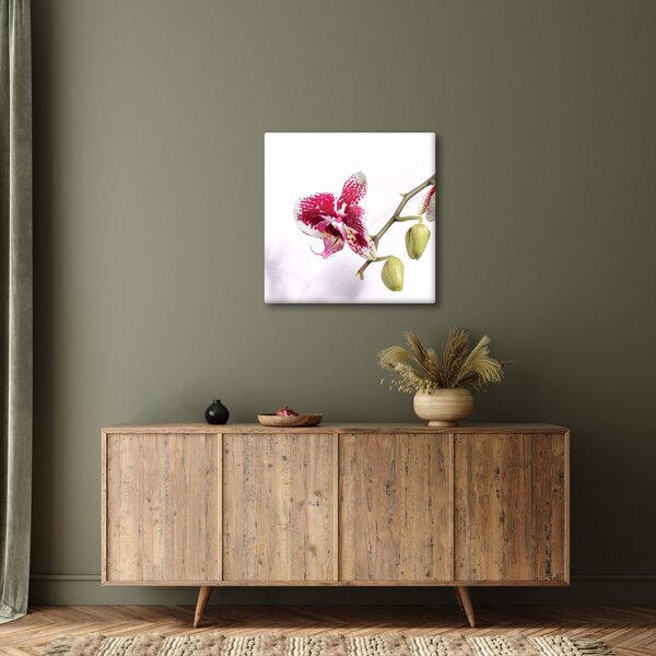 Obraz květu orchideje (30x30 cm)