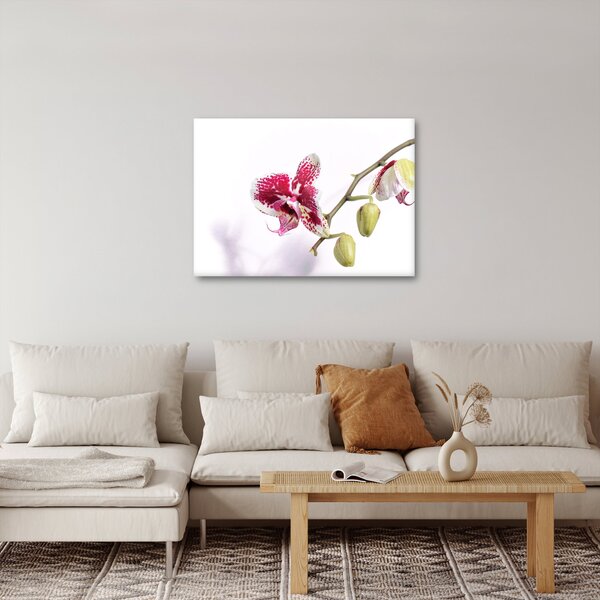 Obraz květu orchideje (70x50 cm)