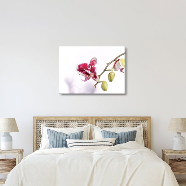 Obraz květu orchideje (70x50 cm)