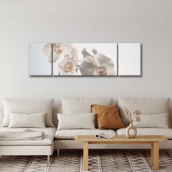 Obraz bílé orchideje (170x50 cm)