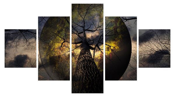 Obraz - Záhadné nebe (125x70 cm)