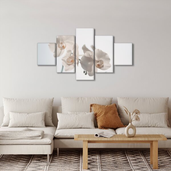Obraz bílé orchideje (125x70 cm)
